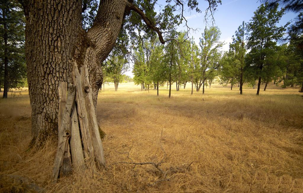 לינה וארוחת בוקר גרובלנד Red Tail Ranch מראה חיצוני תמונה